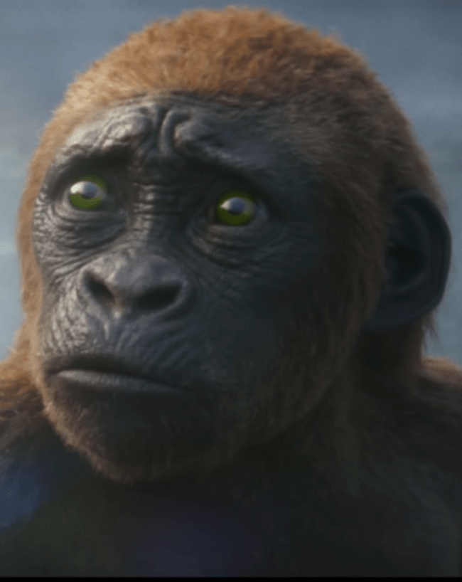 Godzilla x Kong The New Empire-1-2-3-4-5
