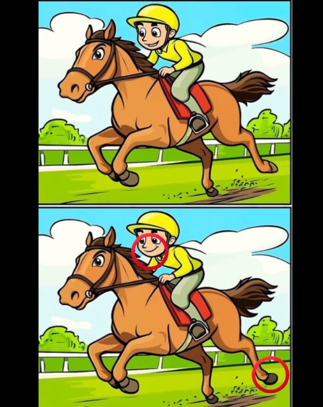 optical illusion images optical illusion images-1-2-3-4-5