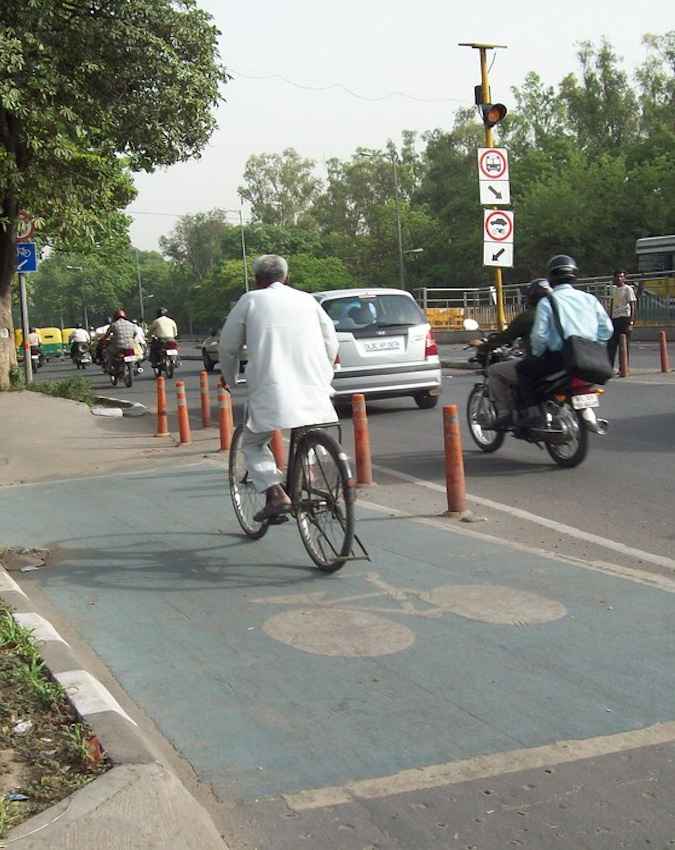 पर्यावरण संरक्षण में भी देती है योगदान 