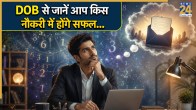 Numerology Job Prediction