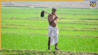 Pm Kisan Mandhan Yojana Pension List 2026