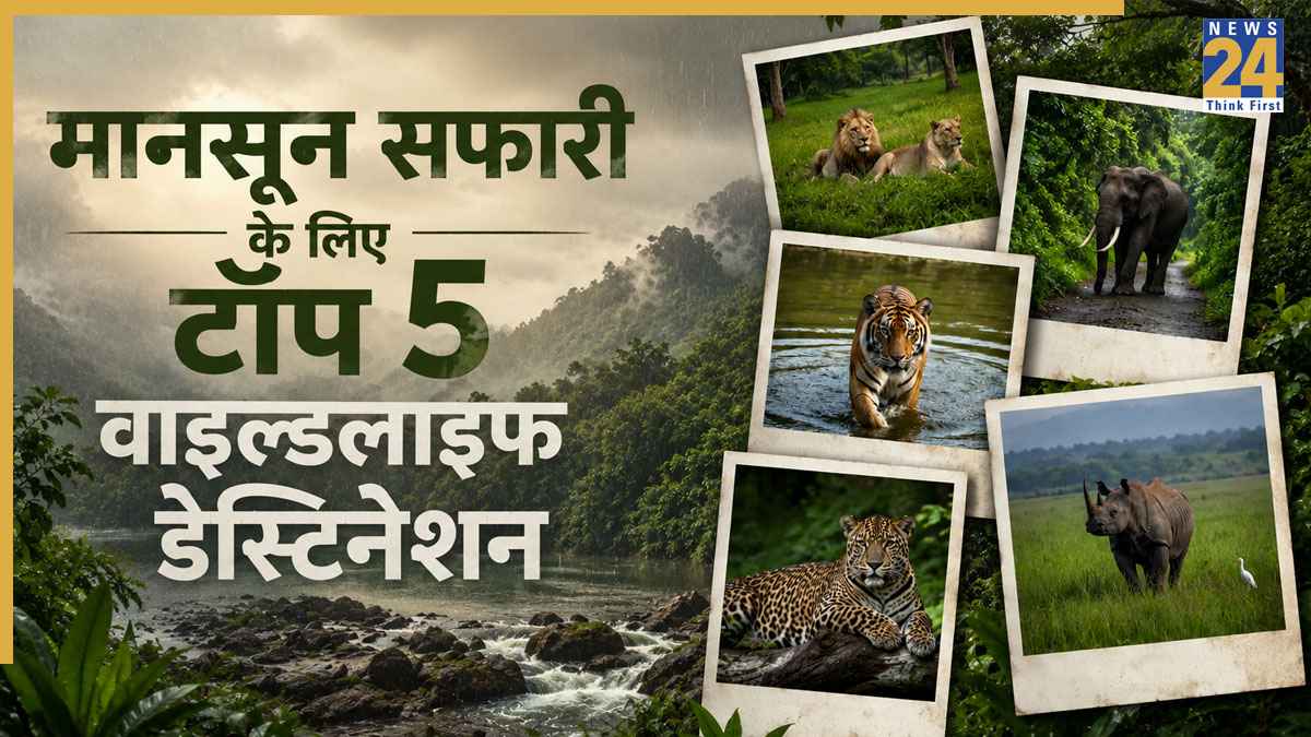 Monsoon Safari in India: मानसून सफारी के लिए भारत की टॉप 5 जगहें, बारिश में और भी खूबसूरत हो जाते हैं ये वाइल्डलाइफ डेस्टिनेशन