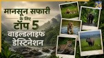 Monsoon Safari in India