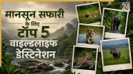 Monsoon Safari in India