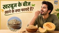 muskmelon seeds benefits