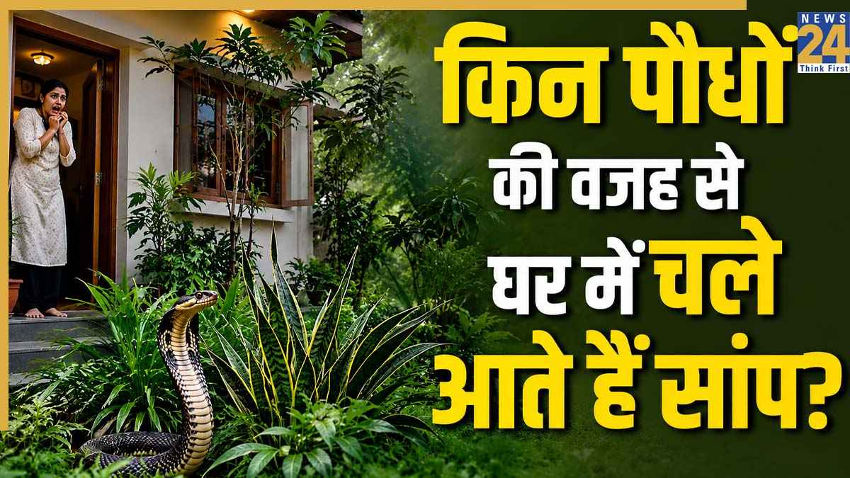सावधान! आपके खूबसूरत गार्डन में छिपा हो सकता है काल, जानें किन पौधों की वजह से घर में खिंचे चले आते हैं सांप