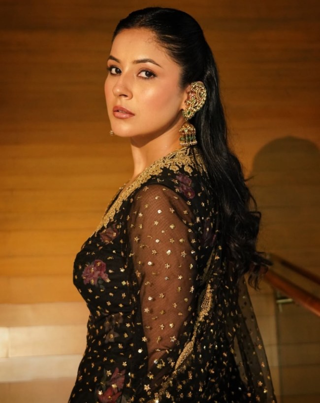 Shehnaaz Gill-1-2-3-4-5