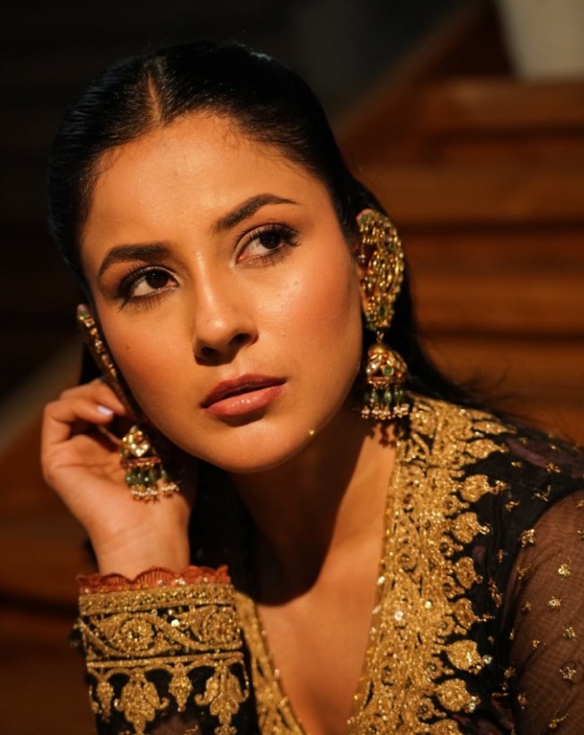 Shehnaaz Gill-1-2-3-4-5-6-7