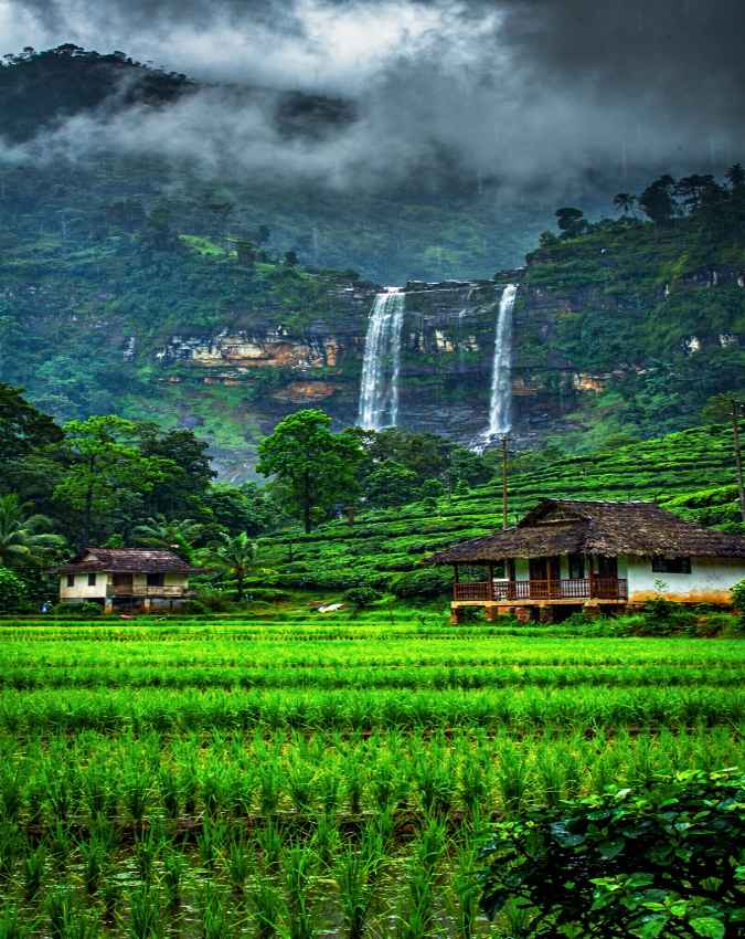 वायनाड, केरल