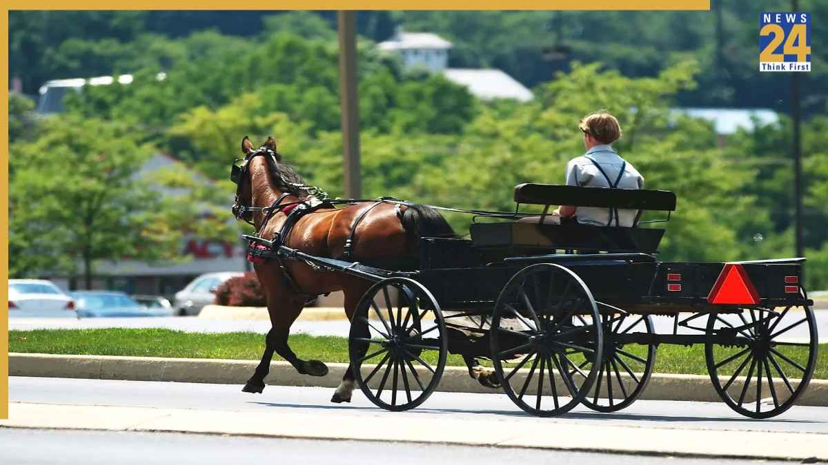 amish community (1) amish community (1)