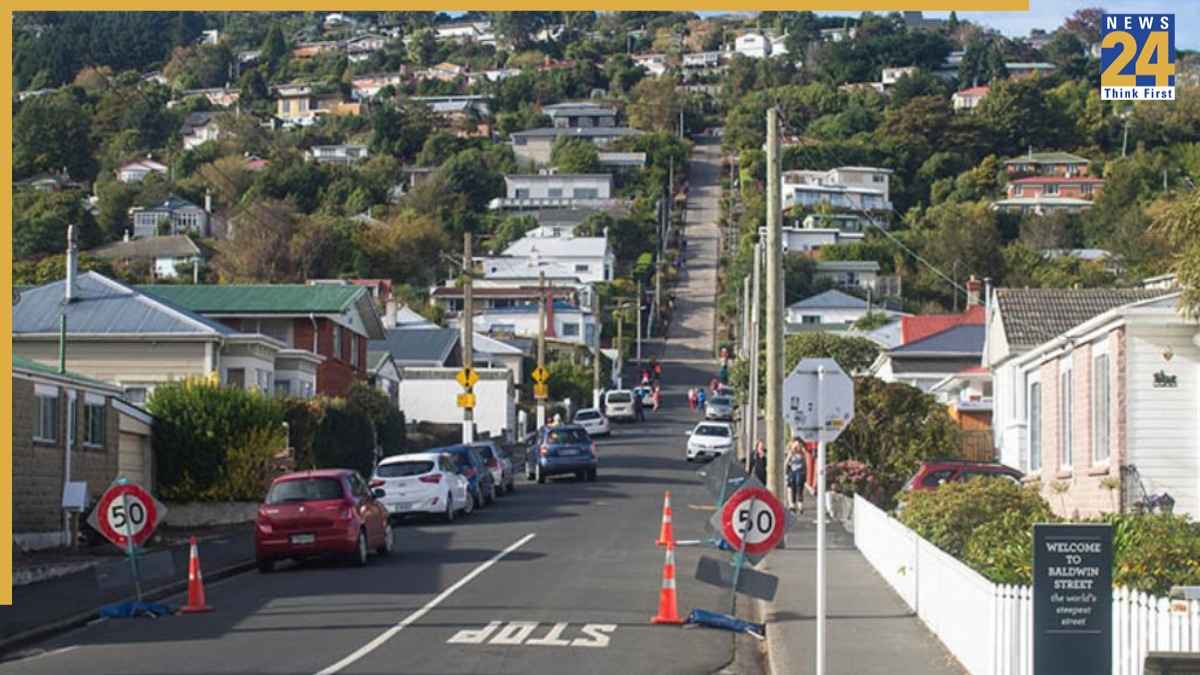baldwin street in new zealand