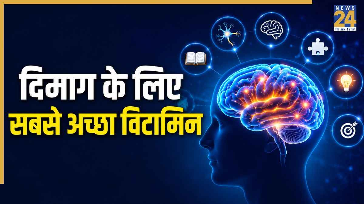 Dimag Ke Liye Best Vitamin