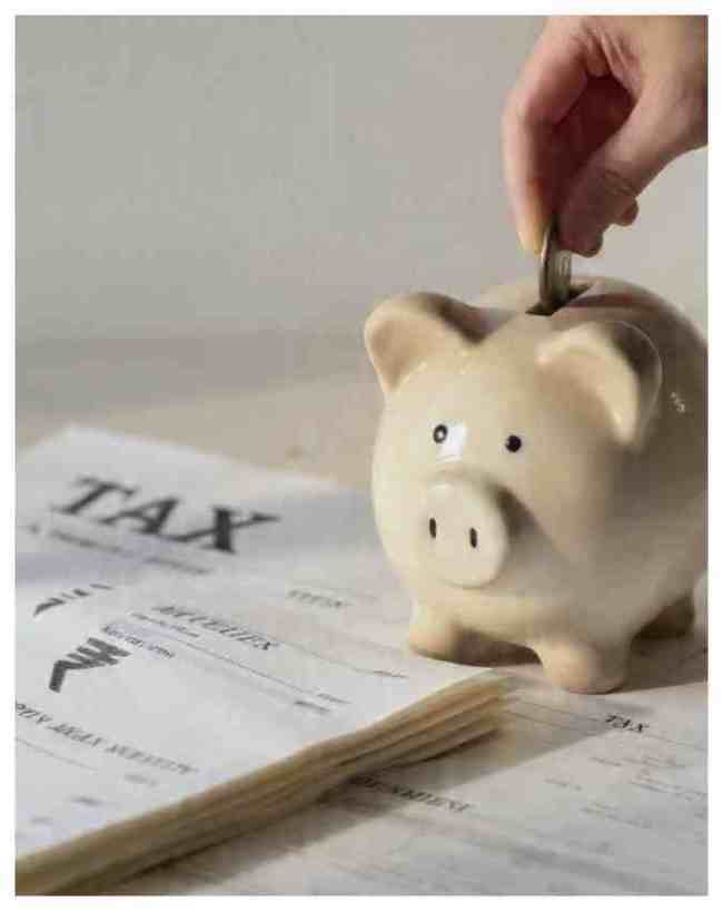 Tax Deadlines July 2026-1-2-3-4-5-6-7