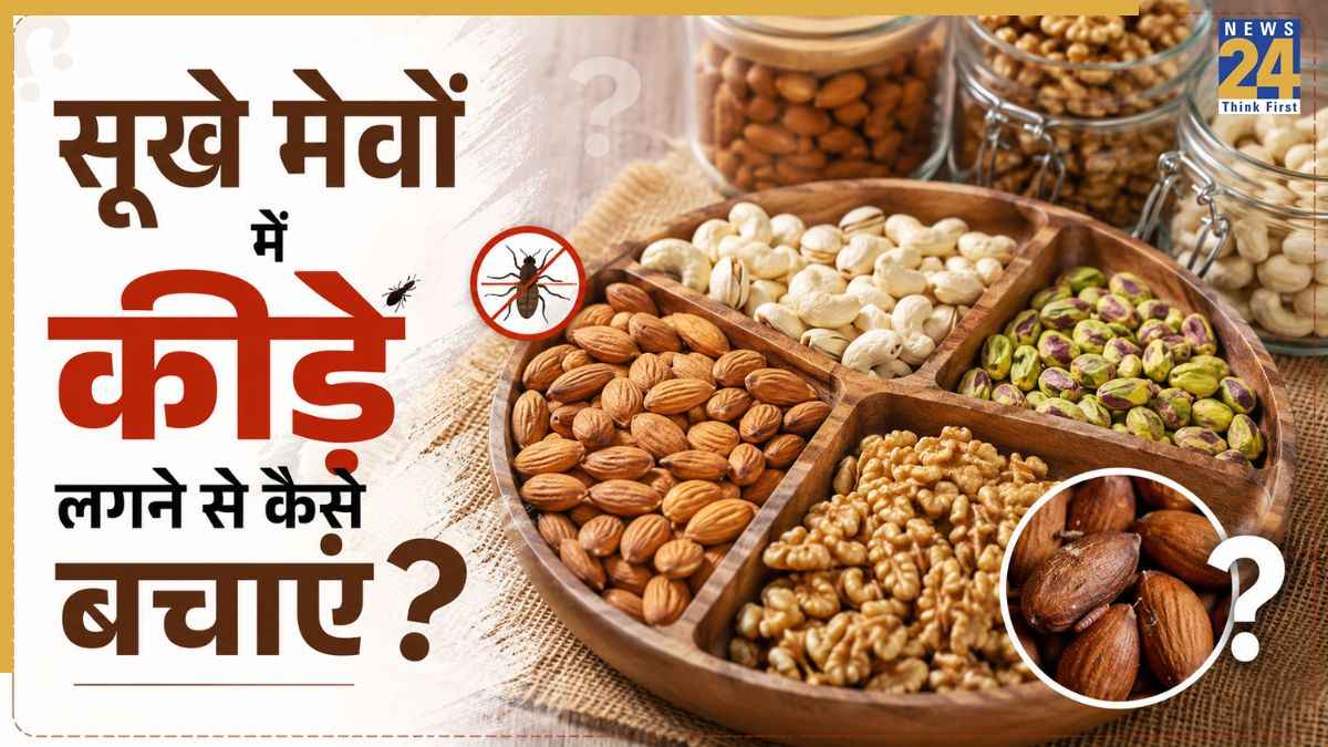 dry fruit ko keede se kaise bachaye