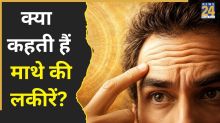Forehead Lines Meaning: माथे की लकीरें बताती हैं व्यक्ति का भविष्य, जानिए क्या कहता है सामुद्रिक शास्त्र?