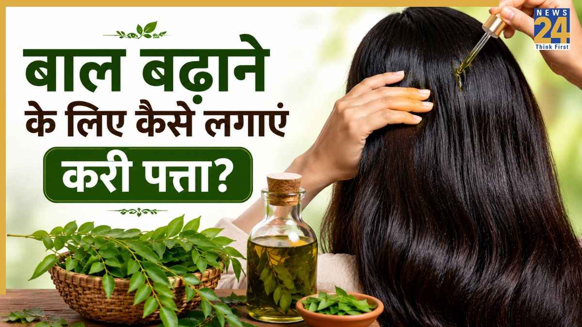 बाल बढ़ाने के लिए कैसे लगाते हैं करी पत्ता? जानिए Curry Leaves से तेल बनाने का तरीका
