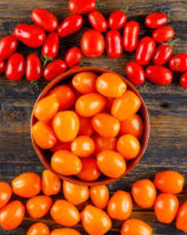Summer Sun Tomato-1-2-3-4