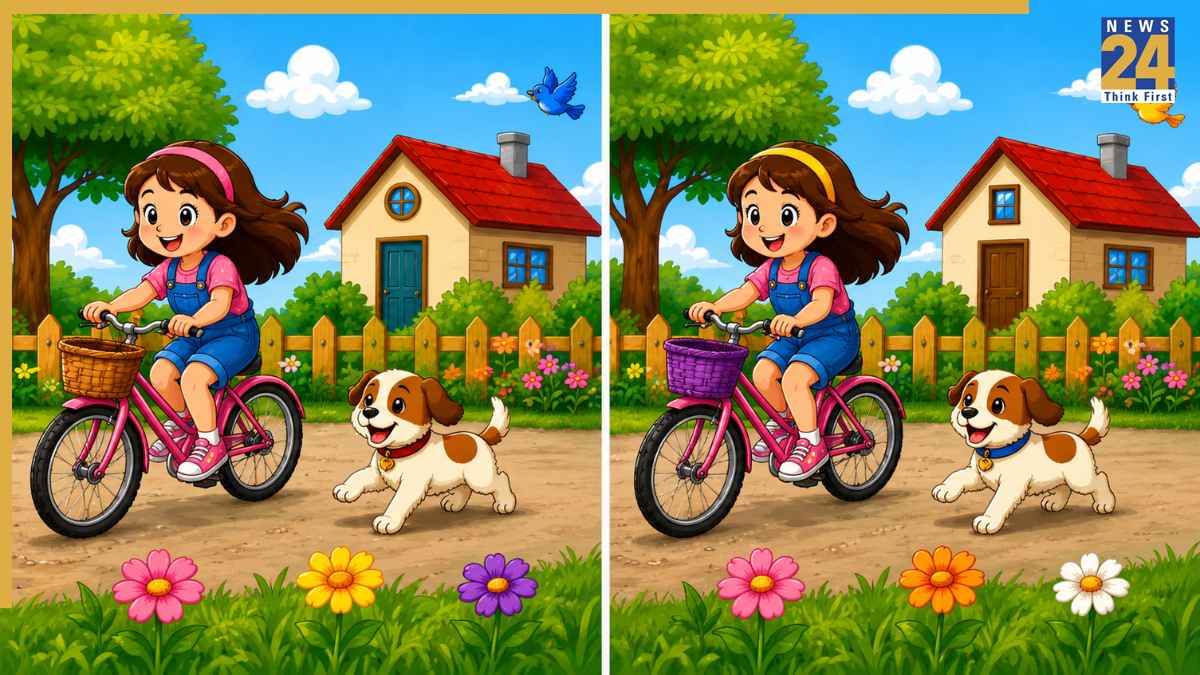 Open Challenge: 99% लोग नहीं ढूंढ पाए तस्वीर में छिपी 5 बड़ी गलतियां, क्या आप 10 सेकंड में खोज पाएंगे?