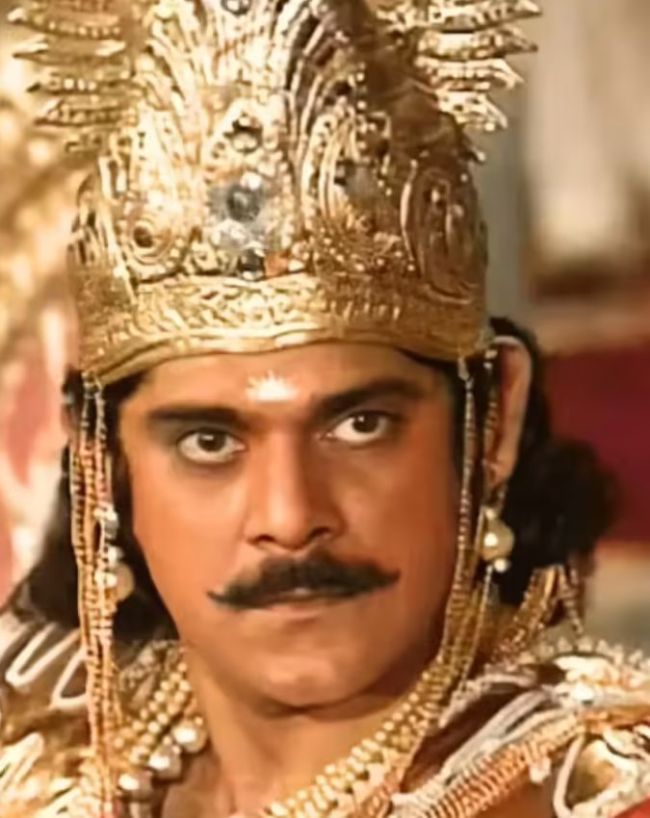 mahabharat stars worked in bollywood-1-2-3-4-5