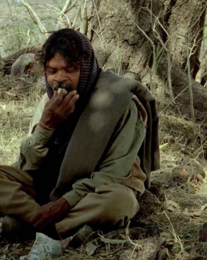 किसने लिखे गाने के बोल?