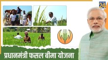 World Largest Crop Insurance Scheme, PM Modi West Bengal, Pradhan Mantri Fasal Bima Yojana, Farmers News Hindi, PM Kisan 23rd Installment