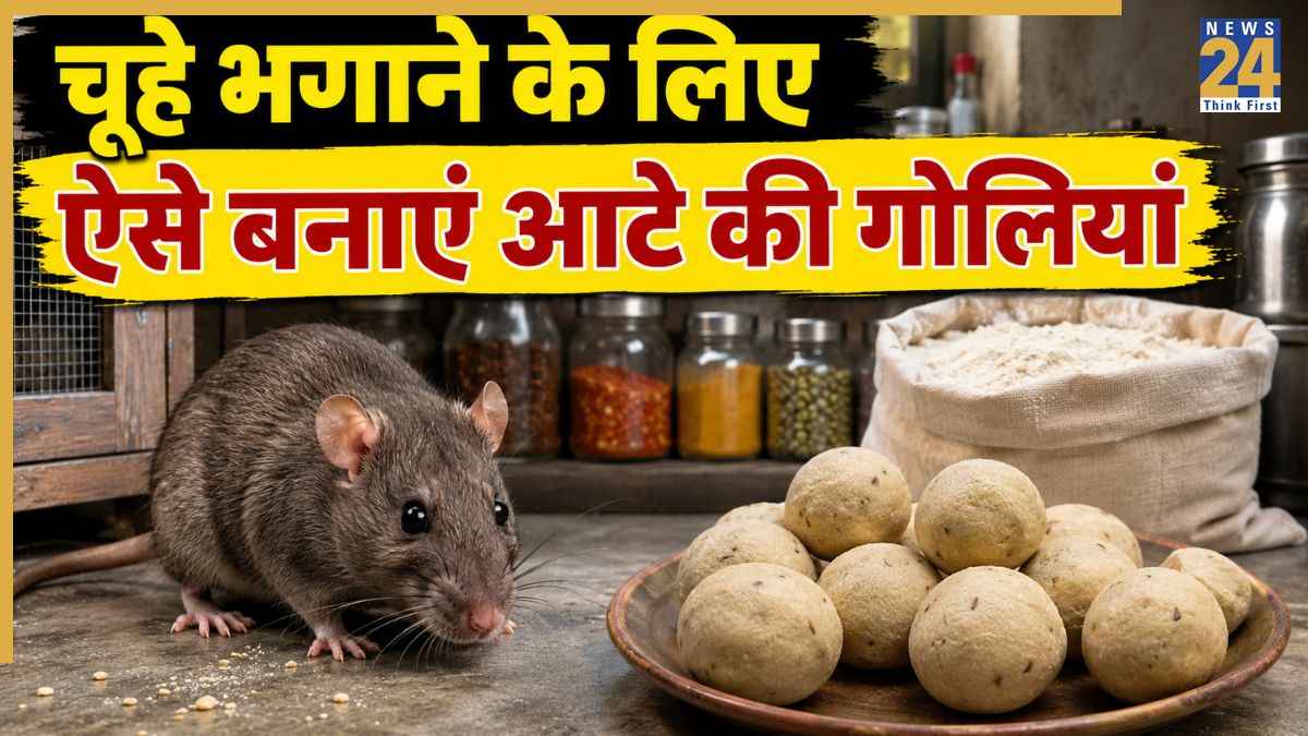 बिना मारे चूहे भगाने के लिए आटे में इस चीज को मिलाकर बना लें गोलियां, घर से निकल जाएंगे सारे Rats