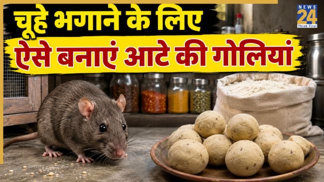 rats home remedies