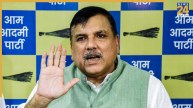 मैंने एसआईटी को घोटाले के 11 दस्तावेज दिए हैं, आगे क्या कार्यवाही होगी, प्रभु श्री राम ही जानें- संजय सिंह