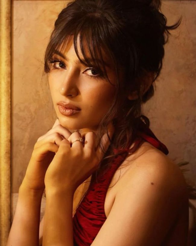 sara arjun birthday-1-2-3-4-5-6
