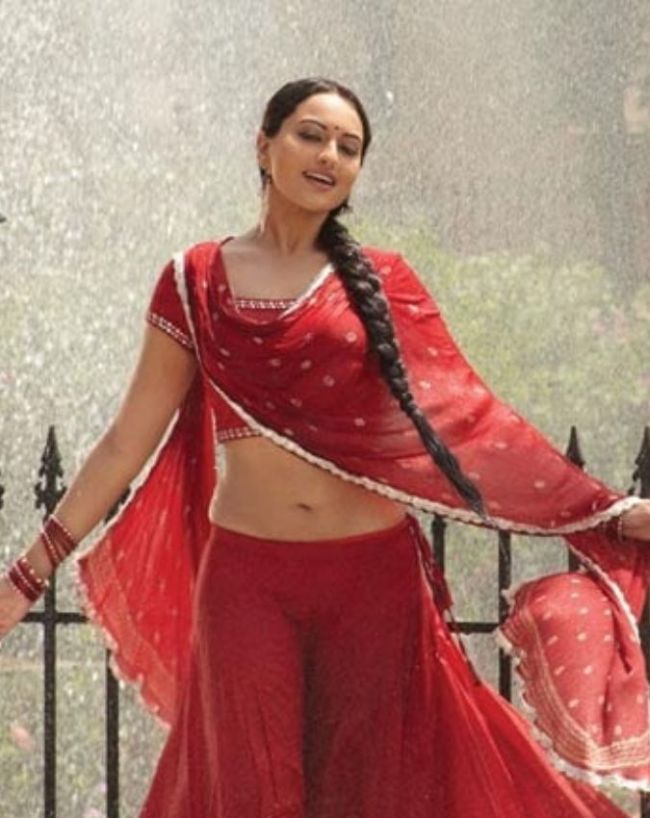 Sonakshi sinha lingaa flop movie-1-2