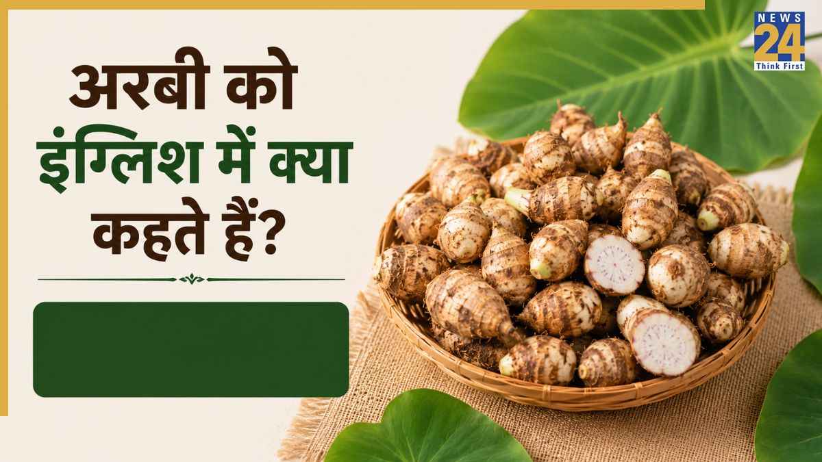 Arbi ko english me kya kehte hai Arbi ko english me kya kehte hai