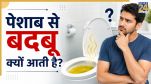 Peshab mein badbu ke karan