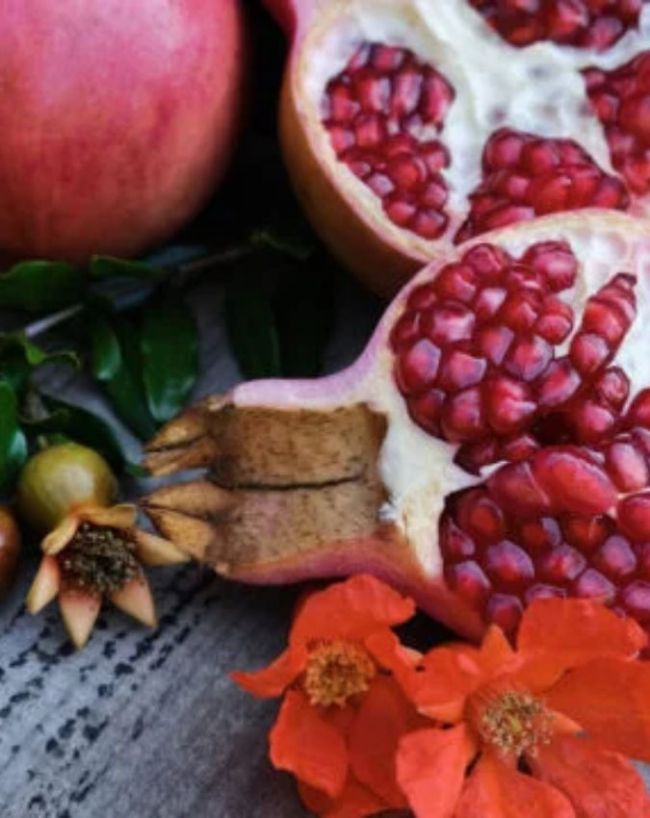how to grow pomegranate plant at home-1-2