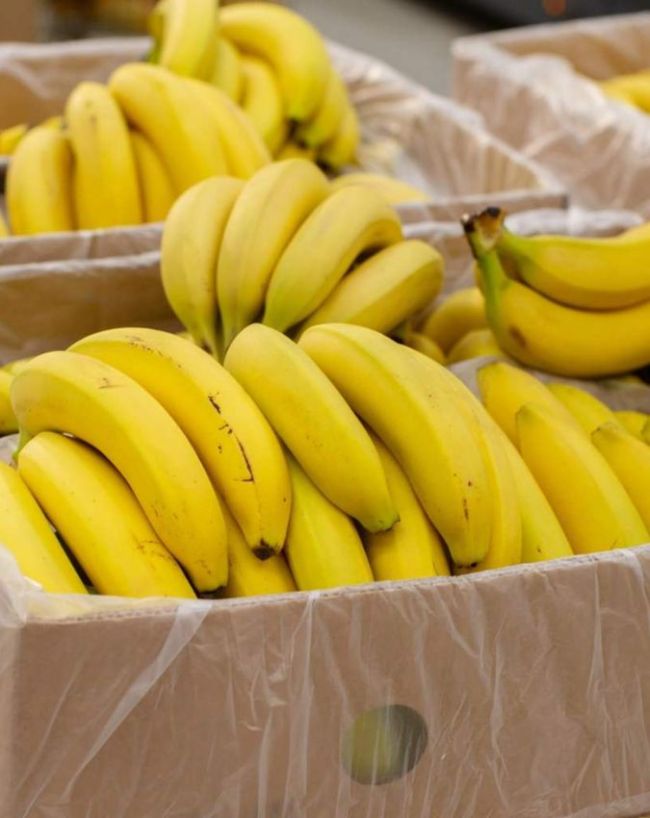 Foods Items Never Store In Fridge-1-2-3-4-5-6