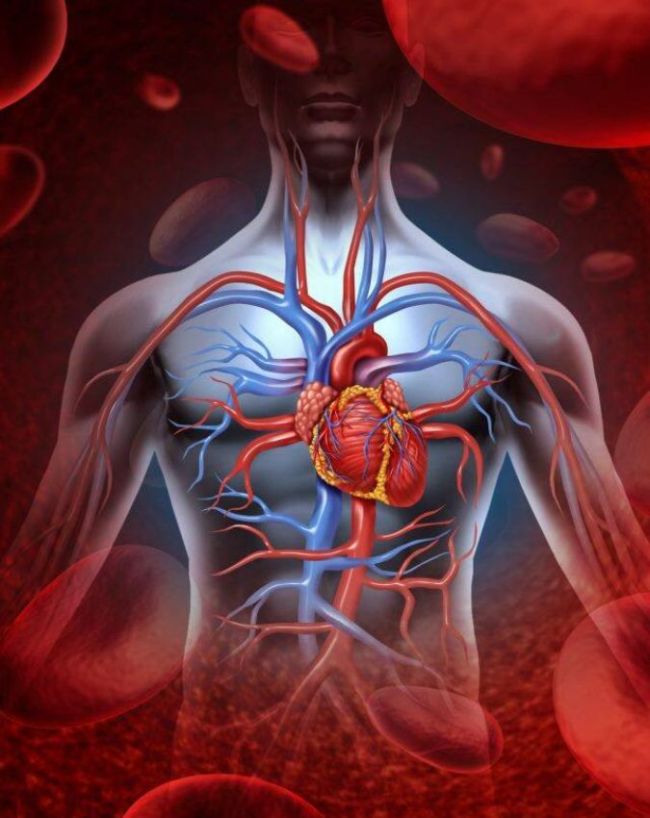 vitamin D deficiency significantly-1-2