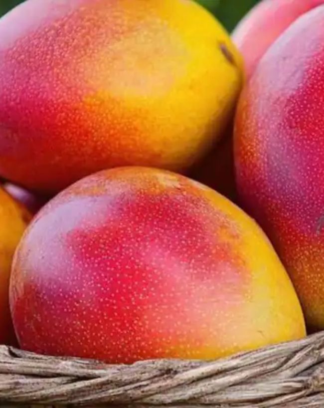 Why Is Miyazaki Mango So Expensive-1-2-3