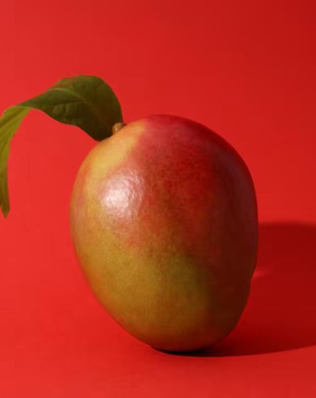 Why Is Miyazaki Mango So Expensive-1-2-3-4