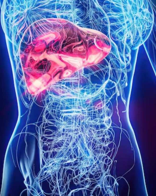 fatty liver symptoms fatty liver symptoms-1-2-3-4-5-6
