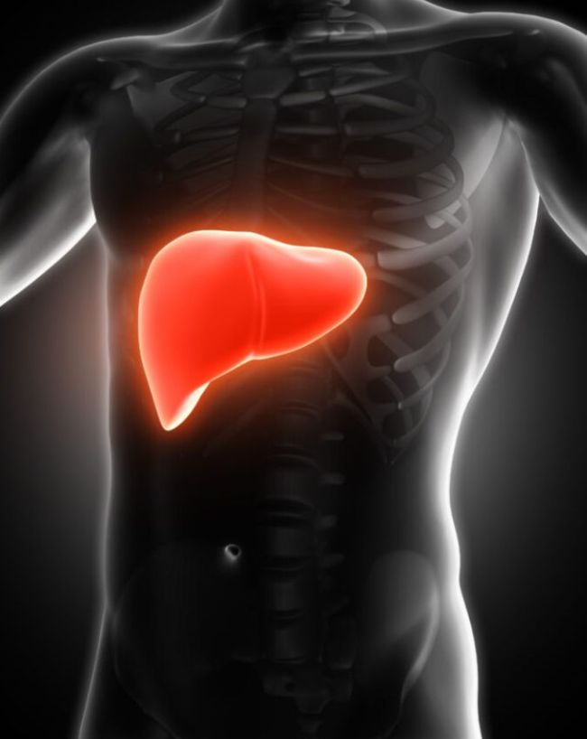 fatty liver symptoms fatty liver symptoms-1-2-3-4-5-6-7