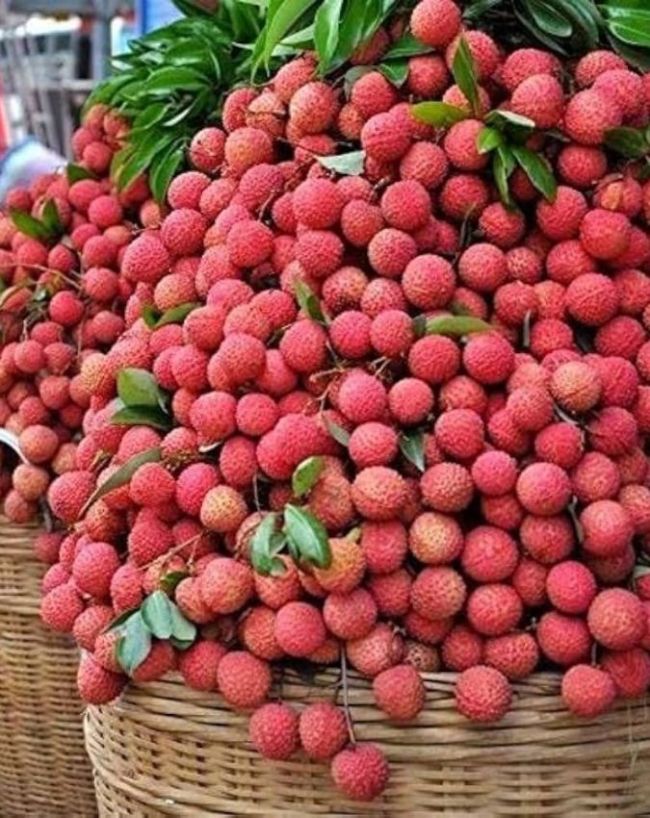 Toxic compound in litchi-1-2-3-4-5-6-7