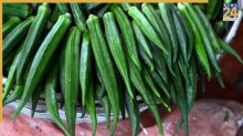 Ladyfinger for Blood Sugar