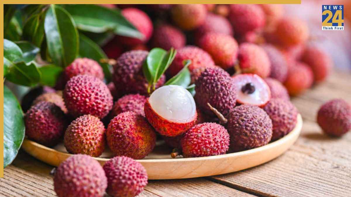 लीची में कीड़ों की पहचान कैसे करें? खरीदने से पहले इन बातों पर दें ध्यान
