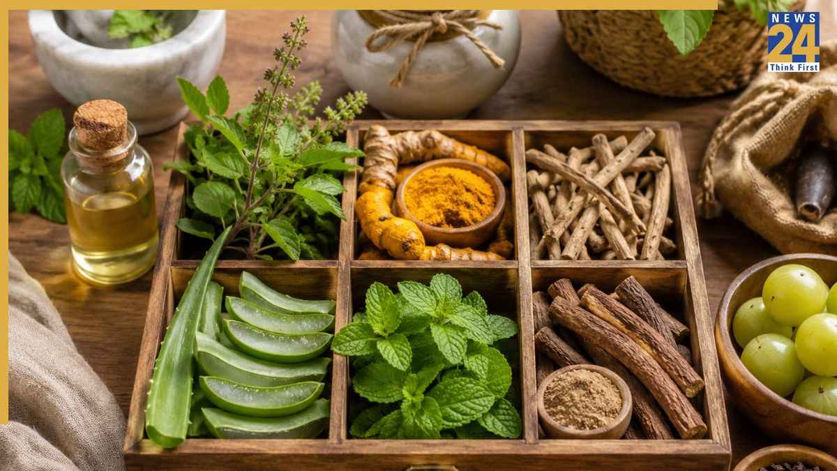 Herbs to boost immunity