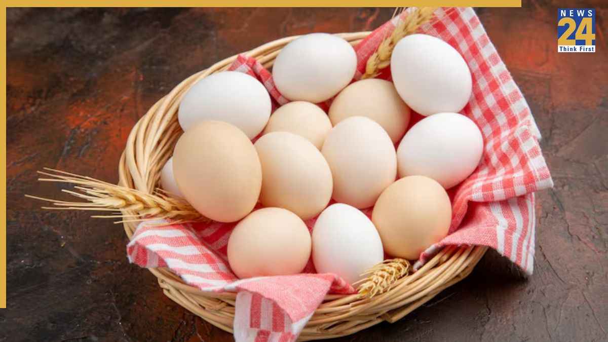 उबालने के बाद कैसे पहचानें अंडा फ्रेश है? जानिए खराब अंडे की पहचान करने के आसान टिप्स