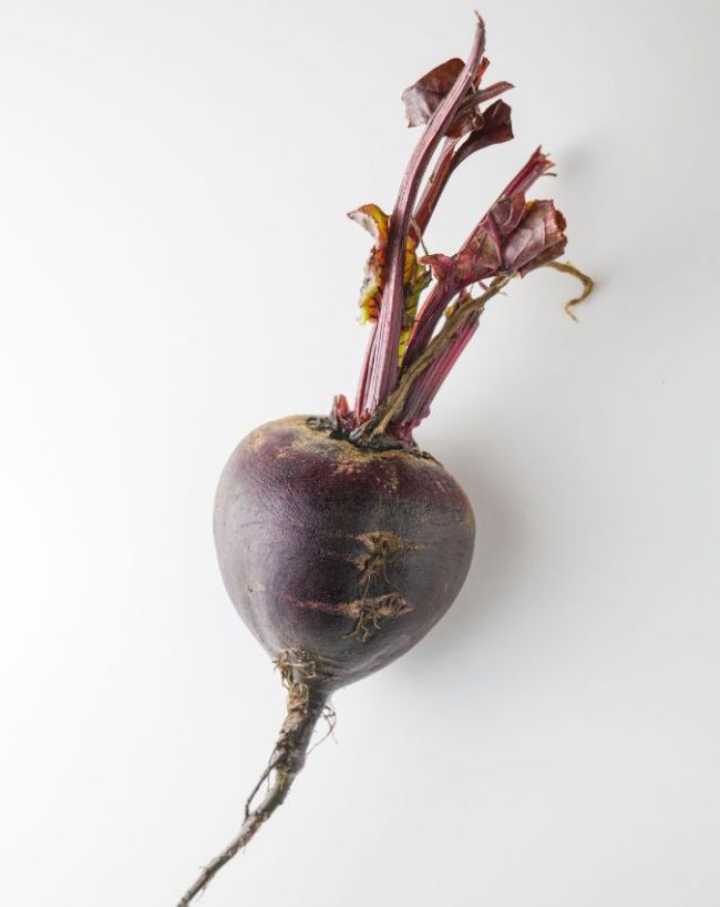 Beetroot for high bp control-1-2-3-4-5-6-7-8-9