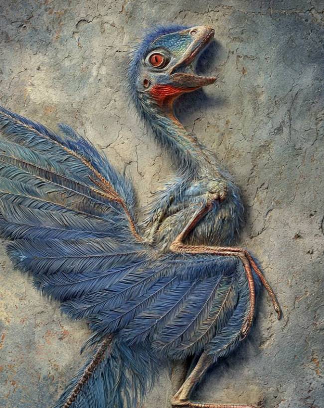 148 Million Year Old Dinosaur Fossil Found in China-1-2-3