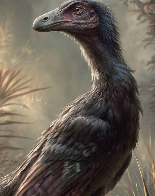 148 Million Year Old Dinosaur Fossil Found in China-1-2-3-4