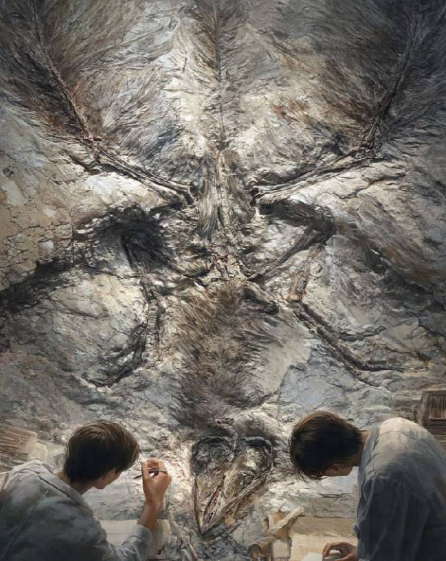 148 Million Year Old Dinosaur Fossil Found in China-1-2-3-4-5-6