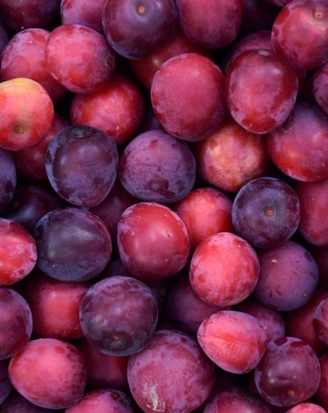 benefits of eating plum in hindi-1-2-3-4-5-6-7