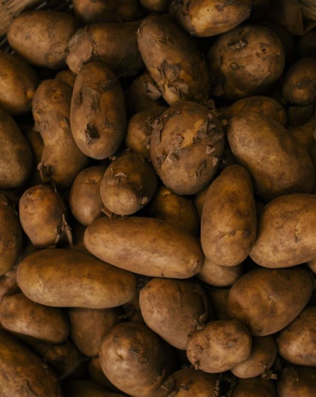 How To Store Potato In Monsoon-1-2-3-4-5